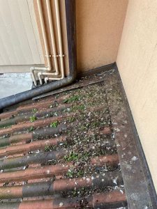 Rimozione guano, Sporco guano su tettuccio. Si vedono tutte le tegole sporche di guano.