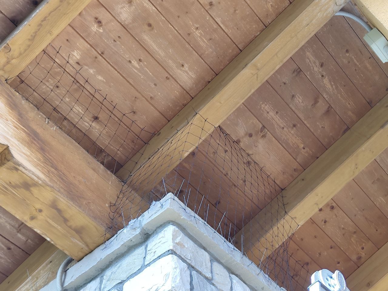 Capitello protetto dai piccioni con rete antipiccione