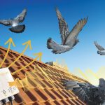 Foto grafica che indica come le onde magnetiche riescano ad allontanare i piccioni